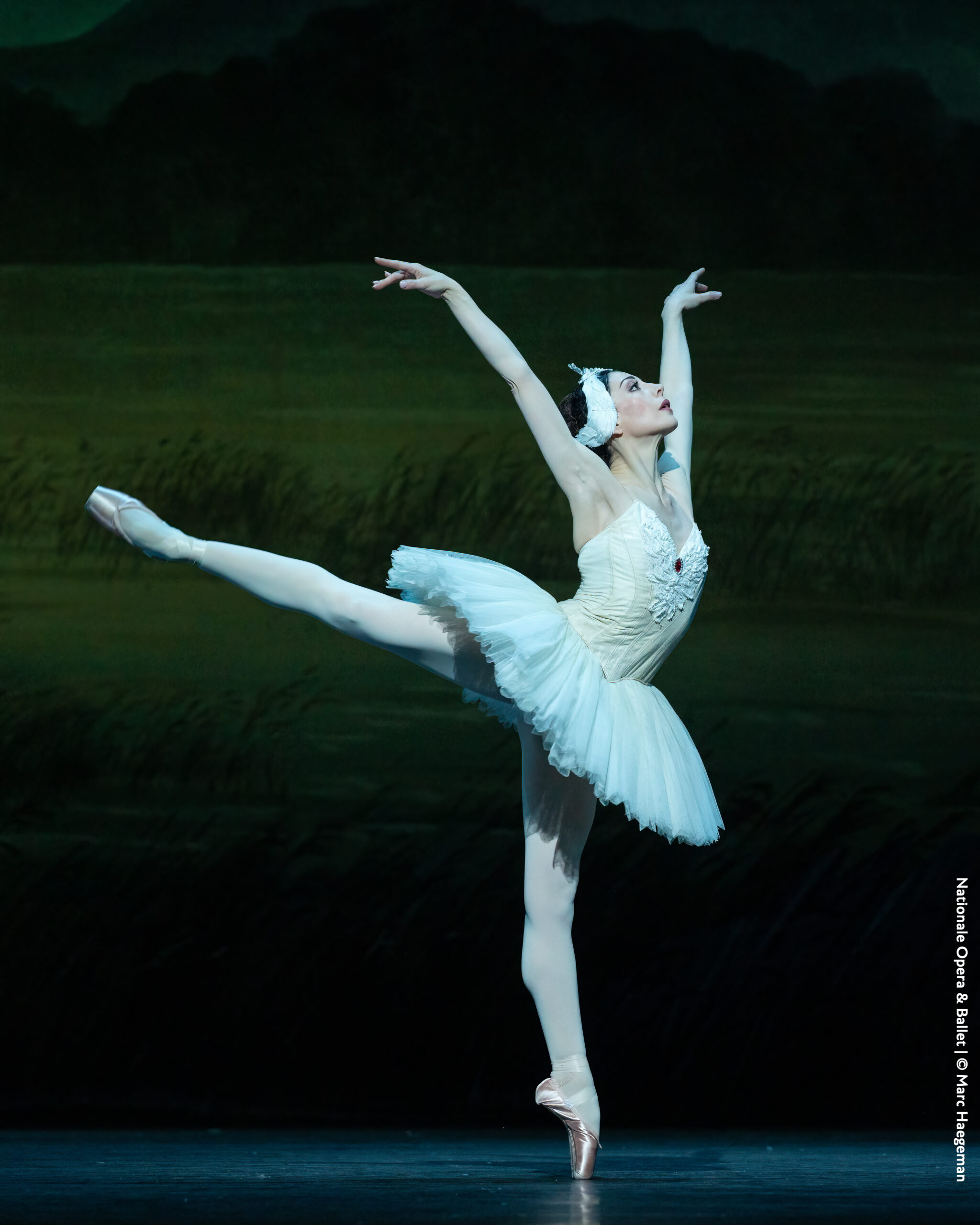 Swan Lake